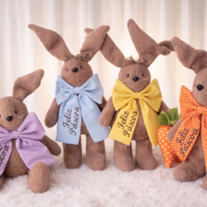 Projeto Coelho de Laço